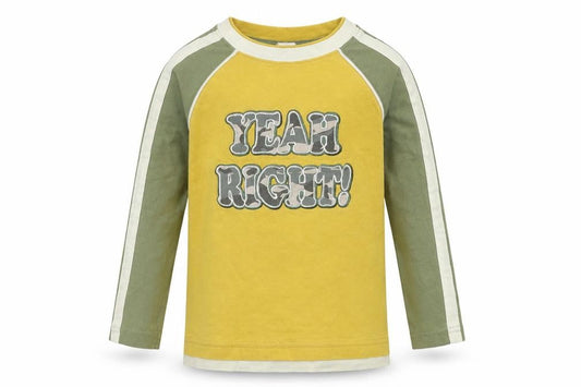Adams Boys Multicoloured   Pullover Sweatshirt Size 4 Years