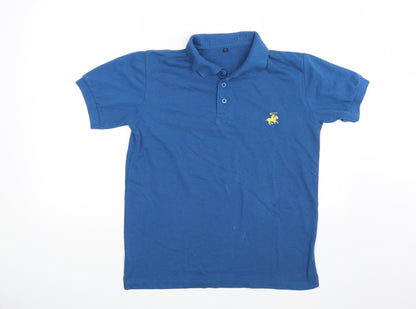 Preworn Mens Blue    Polo Size S