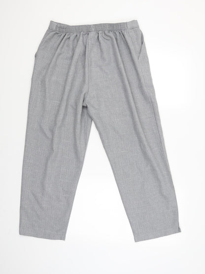 Womens UK Size 20 Preworn Regular Fit  Grey Trousers