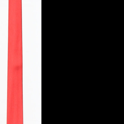 Family Guy Mens Red   Pointed Tie One Size