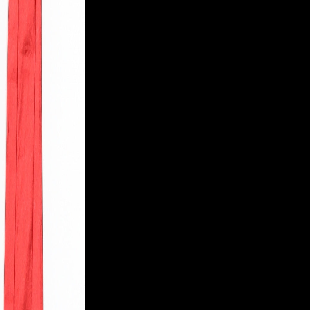 Family Guy Mens Red   Pointed Tie One Size