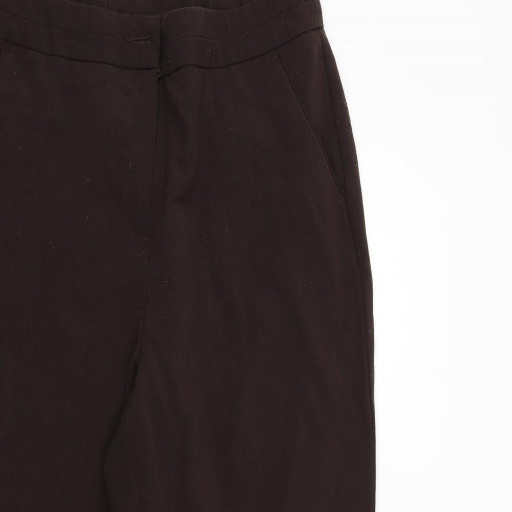 Womens UK Size 14 Maine Regular Fit  Brown Trousers