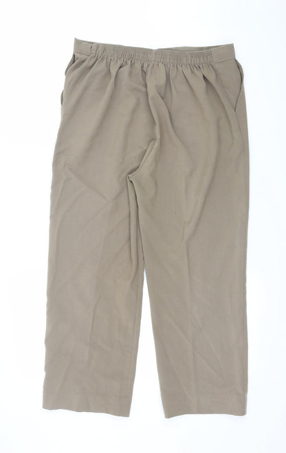 Womens UK Size 32 in Preworn Regular Fit  Brown Trousers