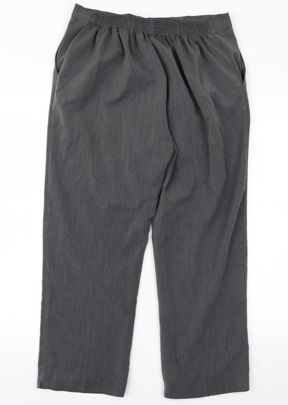 Preworn Womens Grey   Trousers  Size 30 L20 in