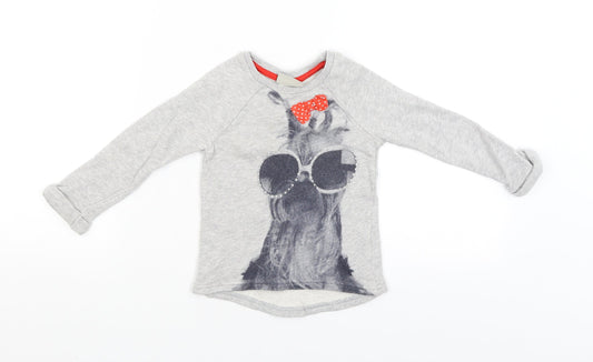 NEXT Boys Grey   Pullover Jumper Size 12-18 Months  - Dogs