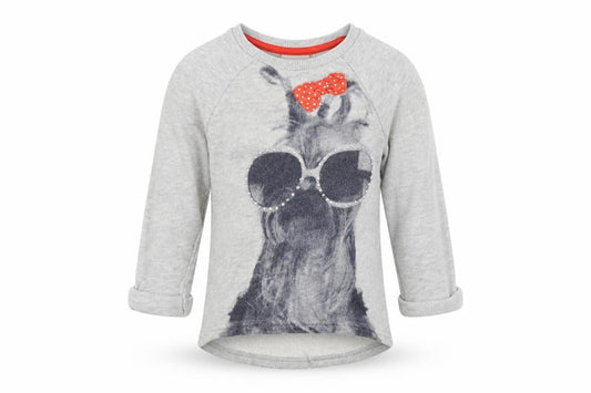 NEXT Boys Grey   Pullover Jumper Size 12-18 Months  - Dogs
