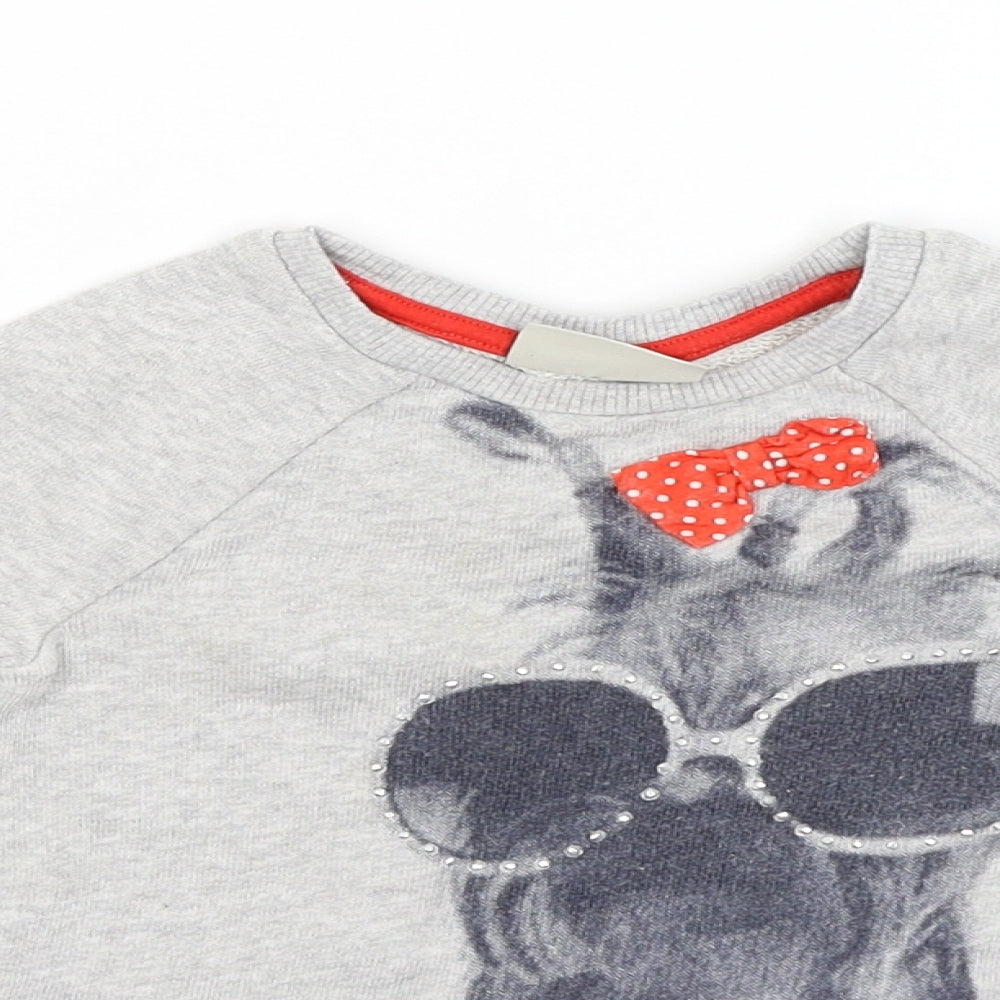 Close-up detail of Next boys’ grey jumper, size 12-18, months - dogs