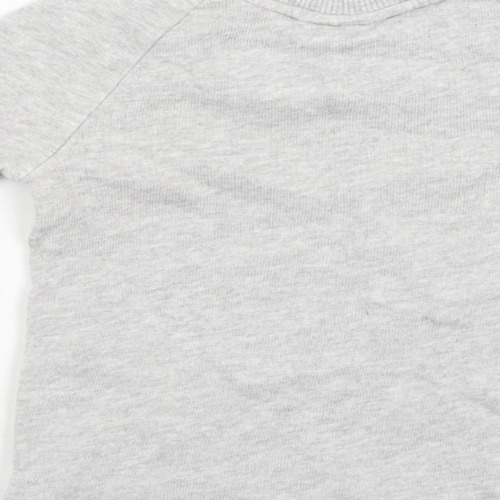 Brand and care label for Next boys’ grey jumper, size 12-18, months - dogs