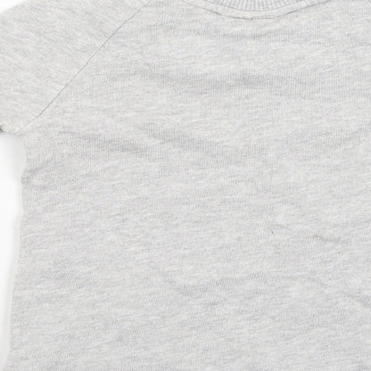 Brand and care label for Next boys’ grey jumper, size 12-18, months - dogs