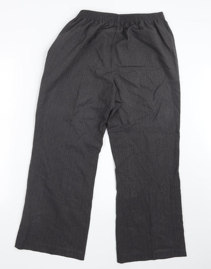 Bm Collection Womens Brown Striped  Trousers  Size 14 L27 in