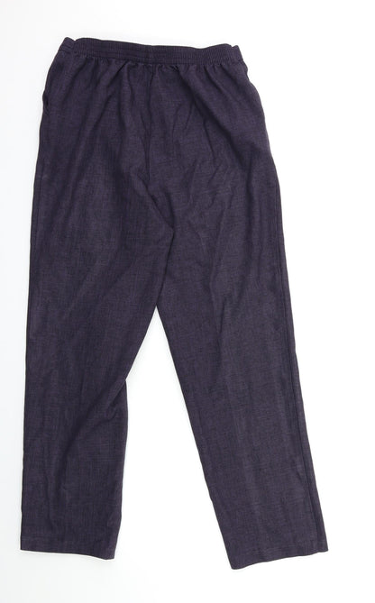 Preworn Womens Purple  Rayon Trousers  Size 28 in L28 in