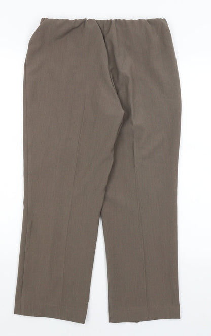 Womens UK Size 10 Classic Regular Fit Dress Pants Brown Trousers