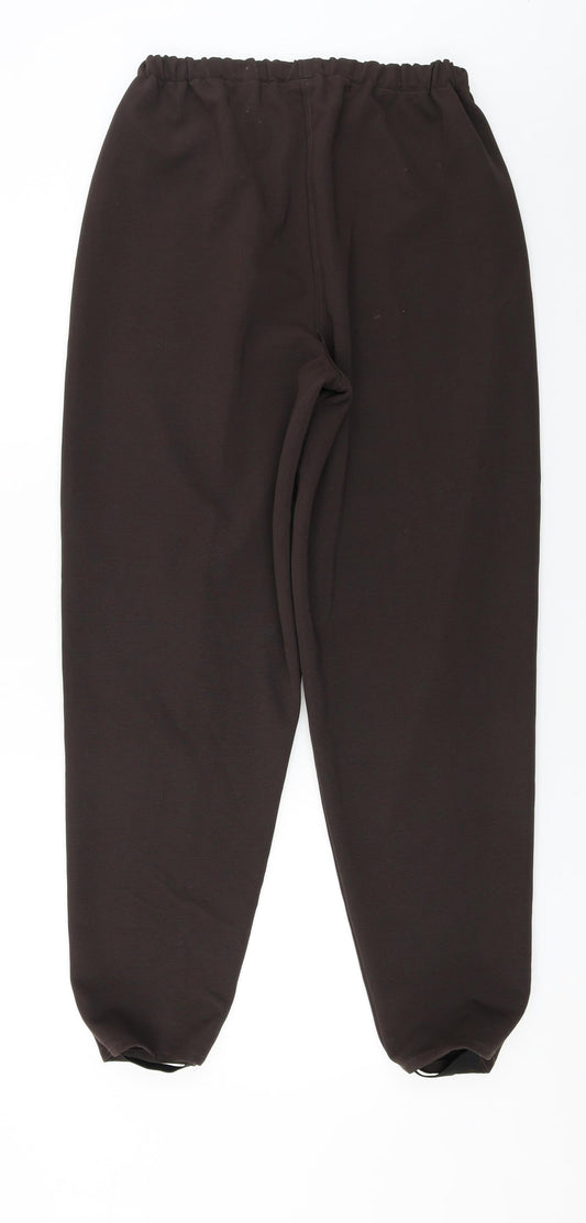 Womens UK Size 28 in Preworn Regular Fit  Brown Trousers