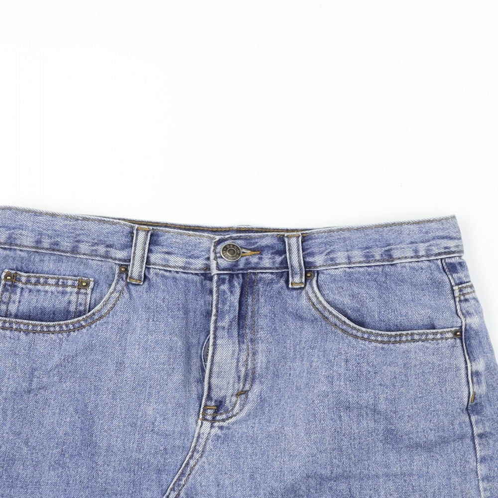 GLASSONS  Womens Blue   A-Line Skirt Size 10