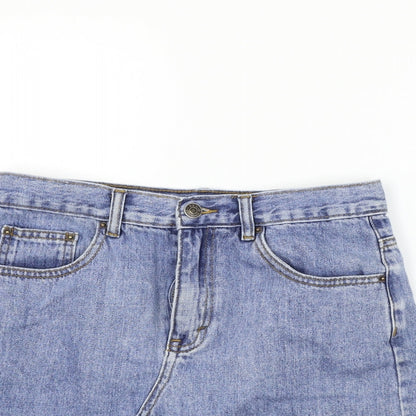 GLASSONS  Womens Blue   A-Line Skirt Size 10