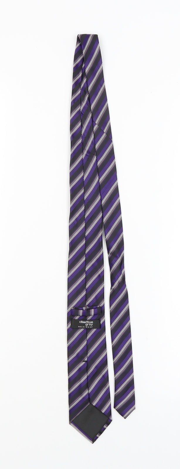 Mens Charlton Gray Purple Striped  Pointed Tie
