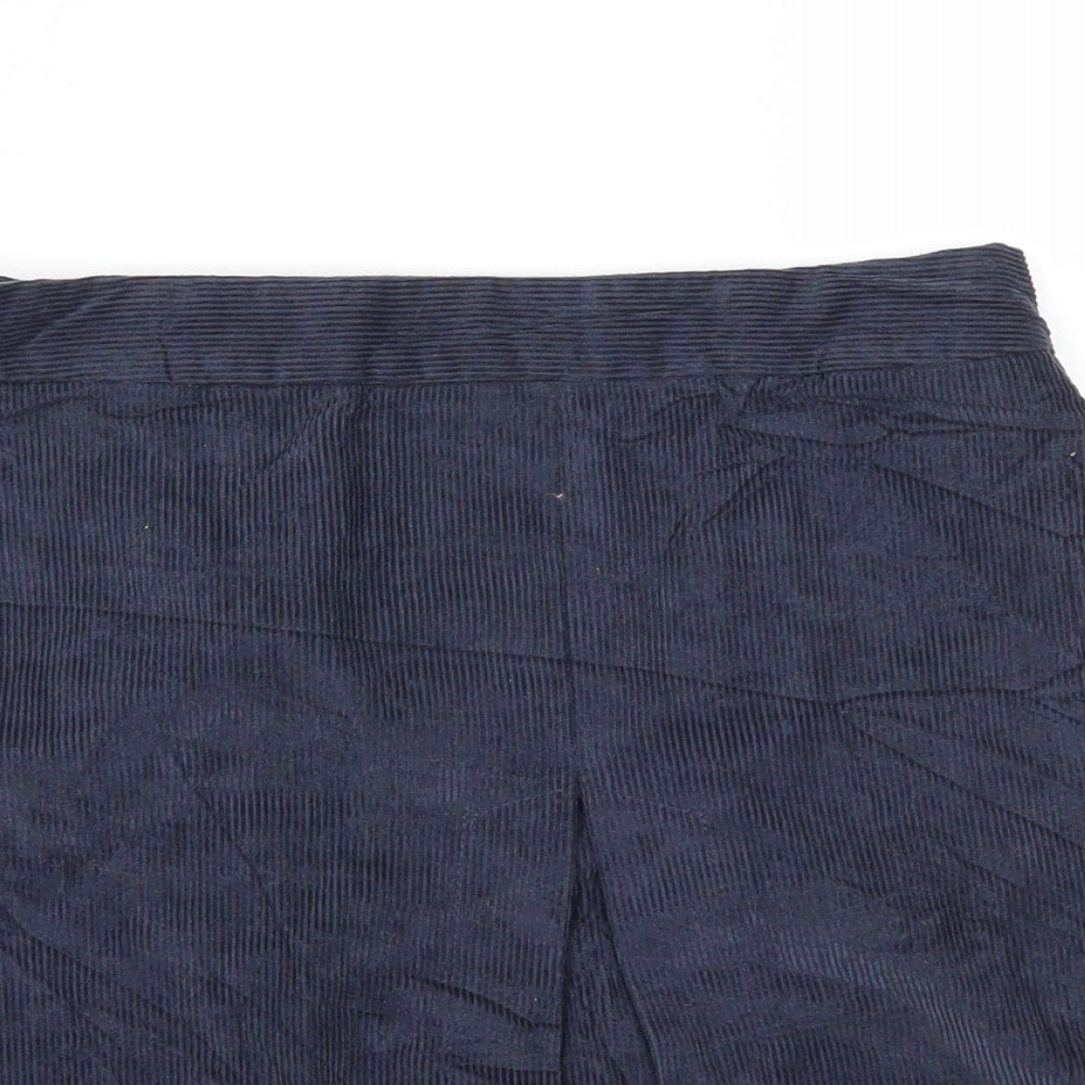 falmen  Womens Blue   A-Line Skirt Size 10