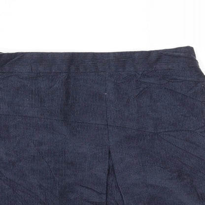 falmen  Womens Blue   A-Line Skirt Size 10