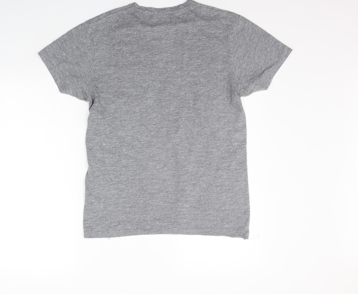 Ceader wood state Mens Grey    T-Shirt Size S  - washable mark