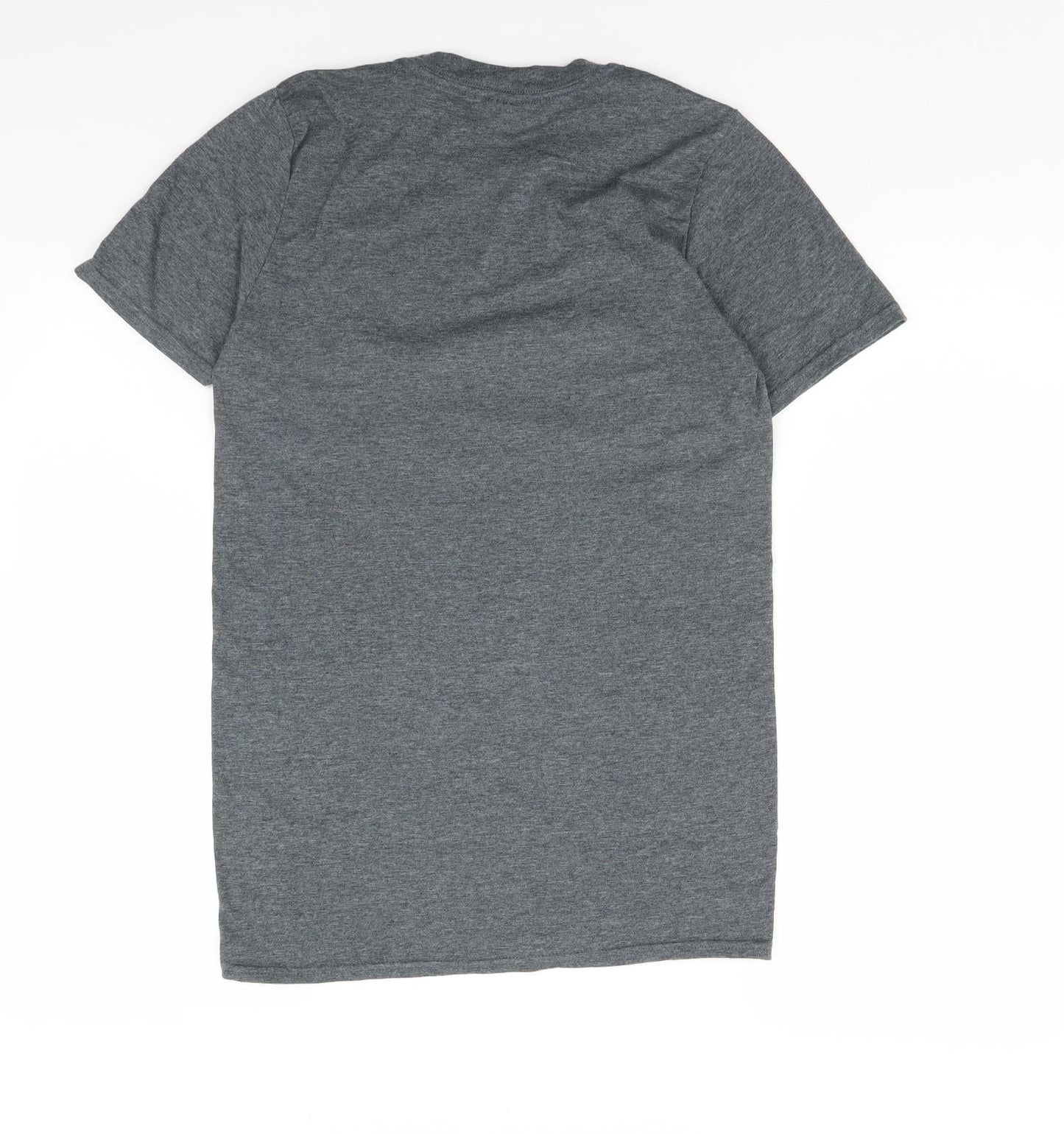 Womens UK Size S Gildan Grey Basic T-Shirt