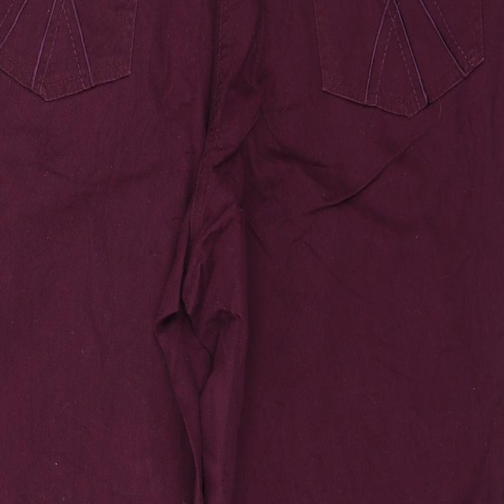 Preworn Womens Purple  Denim Straight Jeans Size 20 L27 in