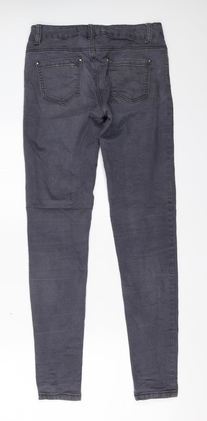 Preworn Womens Grey   Skinny Jeans Size 28 L29.5 in