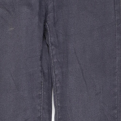 Preworn Womens Grey   Skinny Jeans Size 28 L29.5 in