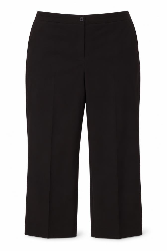 Maine New England Womens Brown Dress Pants Trousers Size 20 L25 in