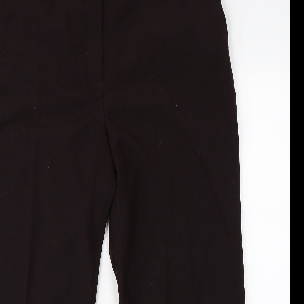 Maine Womens Brown   Dress Pants Trousers Size 20 L25 in