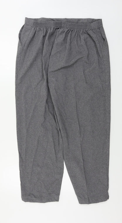 Womens UK Size 34 in NSF Regular Fit  Grey Trousers