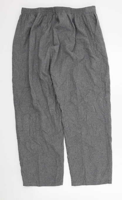 Womens UK Size 26 in Preworn Regular Fit  Grey Trousers