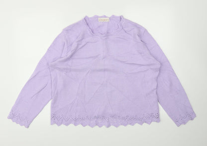 Womens UK Size 18 Daxon Purple Pullover Jumper