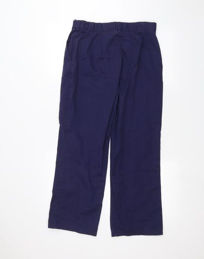 Alexandra Womens Blue   Straight Jeans Size 10 L25 in