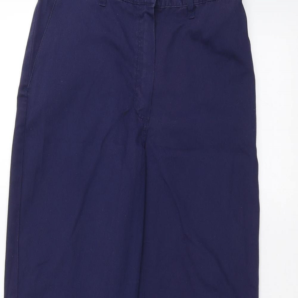 Alexandra Womens Blue   Straight Jeans Size 10 L25 in