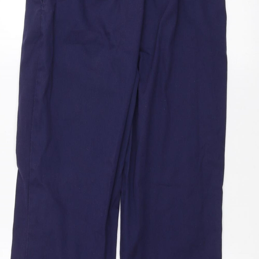Alexandra Womens Blue   Straight Jeans Size 10 L25 in