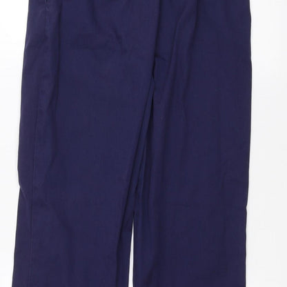 Alexandra Womens Blue   Straight Jeans Size 10 L25 in
