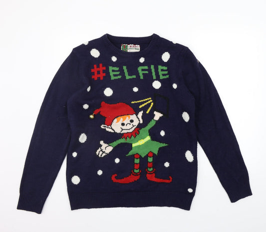 Cedar Wood State Mens Blue   Pullover Jumper Size M  - Christams