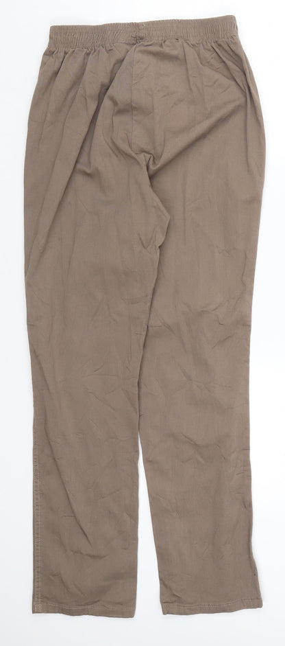 Womens UK Size 27 in Preworn Regular Fit  Brown Trousers