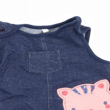 bluezoo Girls Blue   Fit & Flare  Size 3-6 Months