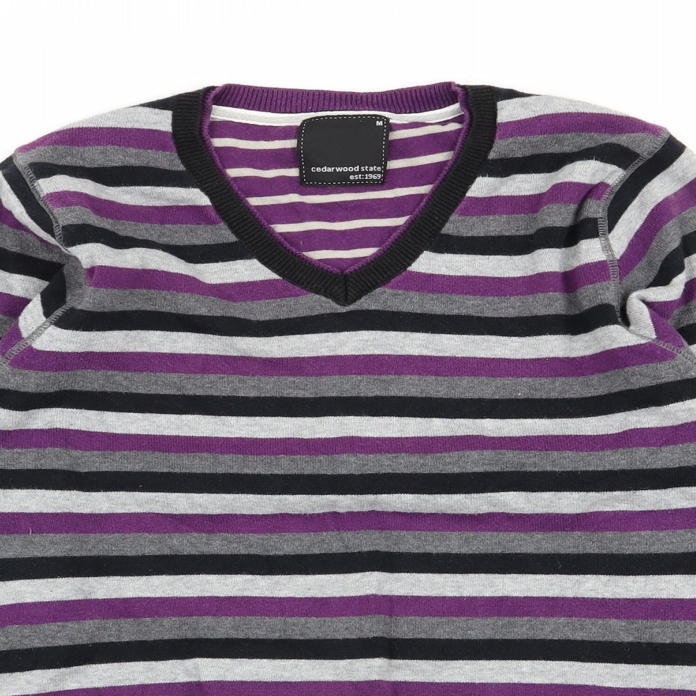 Cedar Wood State Mens Multicoloured Striped  Pullover Jumper Size M