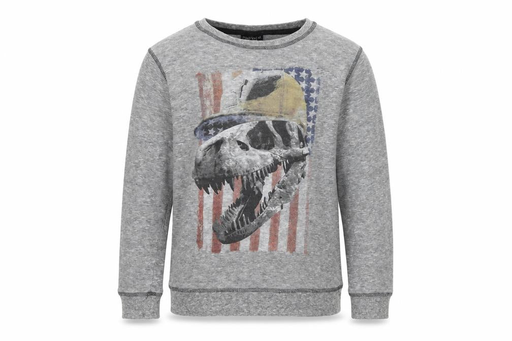 NEXT Boys Grey   Pullover Sweatshirt Size 9 Years  - Skull Dinosaur