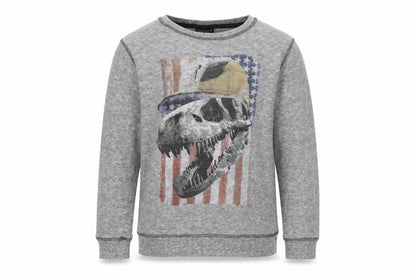 NEXT Boys Grey   Pullover Sweatshirt Size 9 Years  - Skull Dinosaur