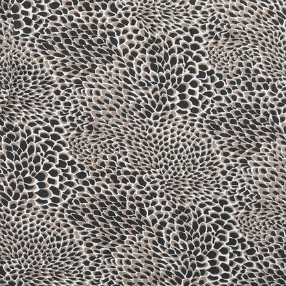 CMD Womens Black   Basic T-Shirt Size 2XL