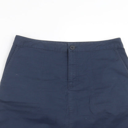 Gap Womens Blue   A-Line Skirt Size L