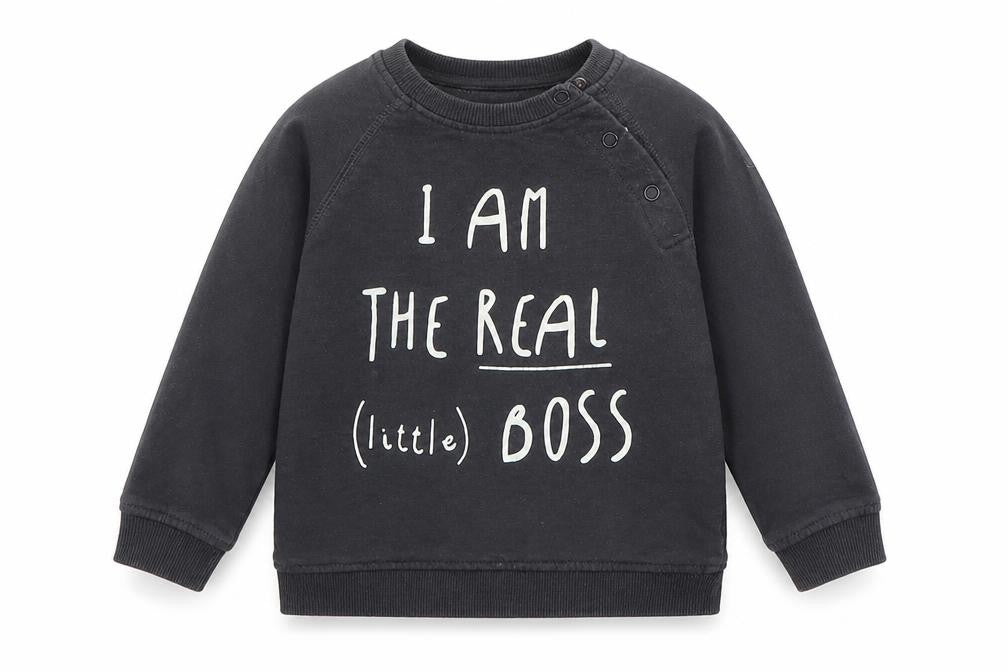 La Redoute Boys Grey   Pullover Sweatshirt Size 2 Years