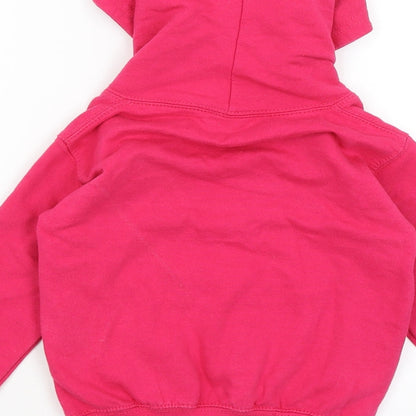 AWD Girls Pink   Pullover Hoodie Size 2 Years  - Dinosaurs