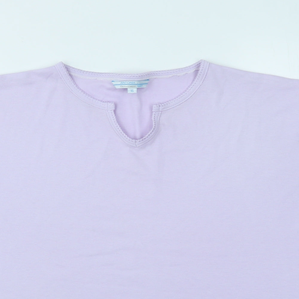 ANTONIA Womens Purple   Basic T-Shirt Size 16
