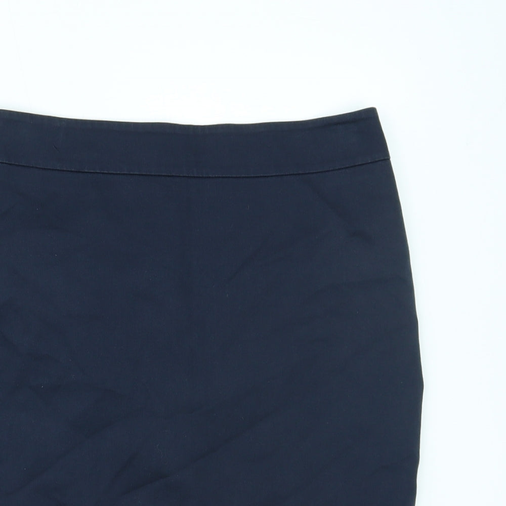 Ann Taylor Womens Beige   Straight & Pencil Skirt Size 8