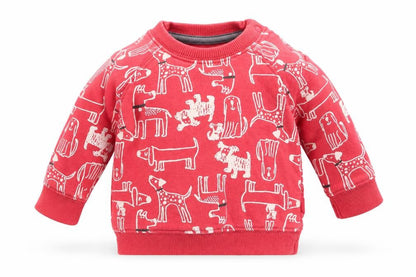Nutmeg Boys Orange Animal Print  Pullover Jumper Size 0-3 Months