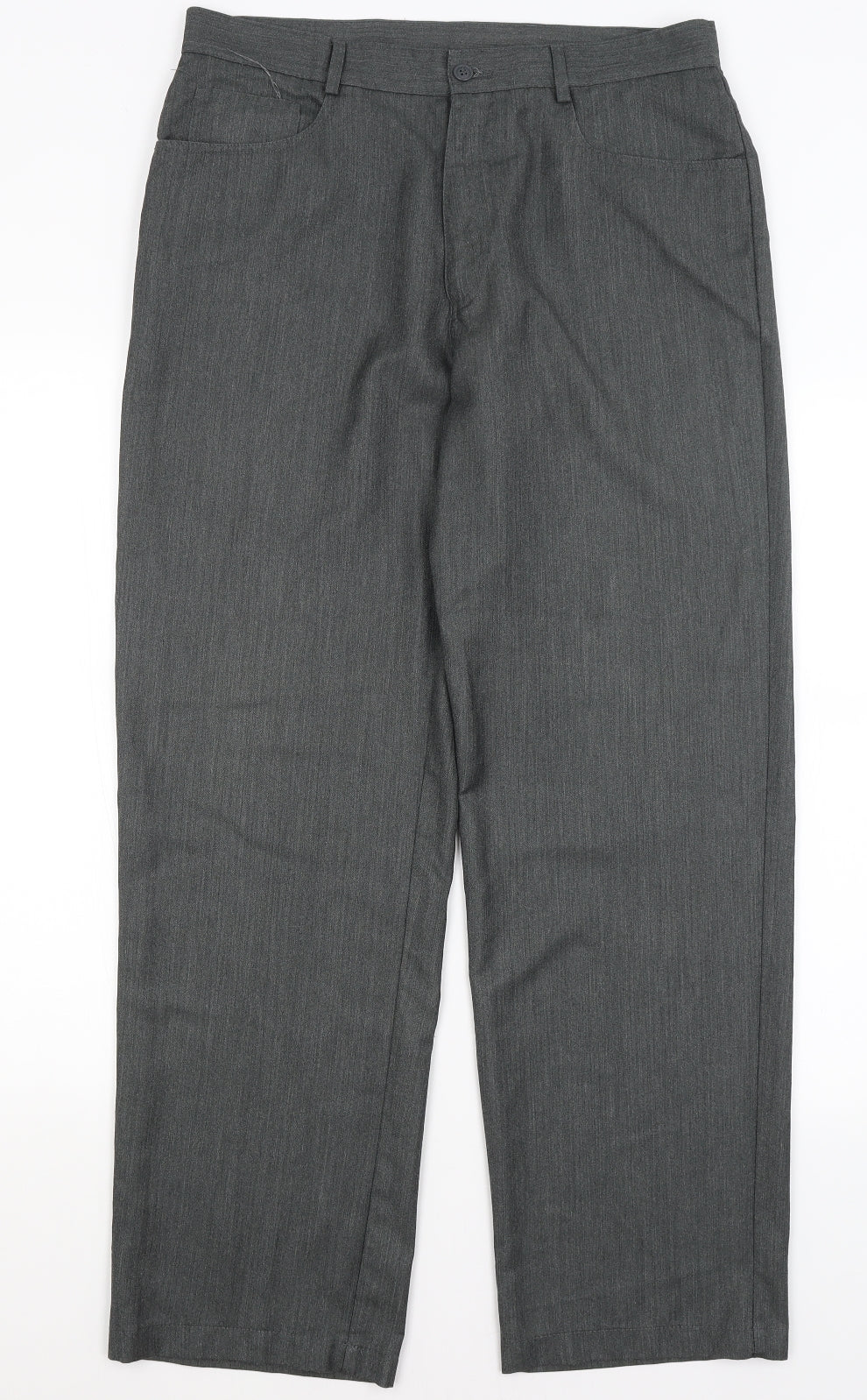 Taylor & Wright Mens Grey   Dress Pants Trousers Size 34 in L31 in